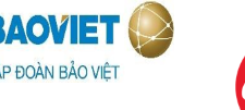 Bảo Việt Group